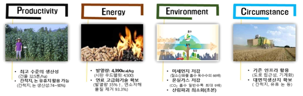 케나프의 재배적 특성과 환경에 미치는 영향 및 에너지자원 활용