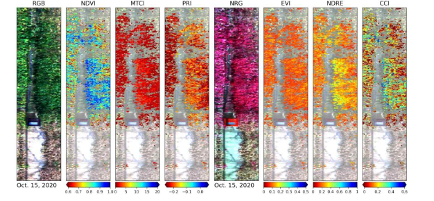 초분광 카메라로 관측된 식생지수 영상 `20년 10월 15일(정오)
