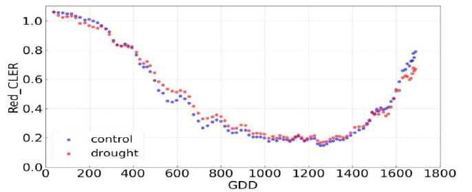 GDD 누적온도에 따른 Red 파장의 광소멸비(CLER)의 패턴 분석(`22년)