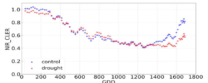 GDD 누적온도에 따른 NIR 파장의 광소멸비(CLER)의 패턴 분석(`22년)