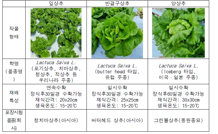 상추류 품종에 따른 형태비교 및 재배특성