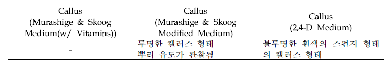 각각의 배지별 캘러스의 특징