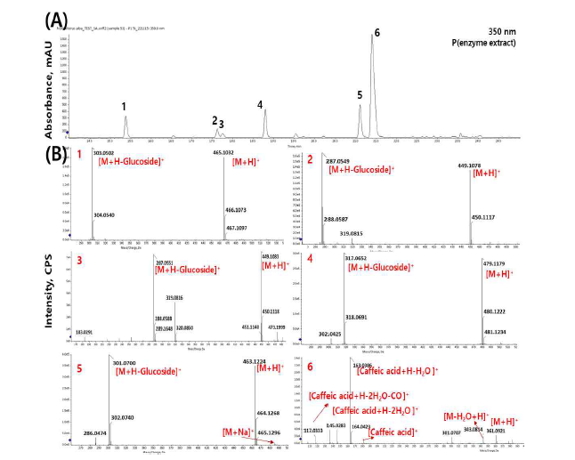 배암차즈기 성분 분석 결과 (A)배암차즈기 효소처리 추출물 LC chromatogram, (B)1-6종 성분의 positive ion mode MS spectra