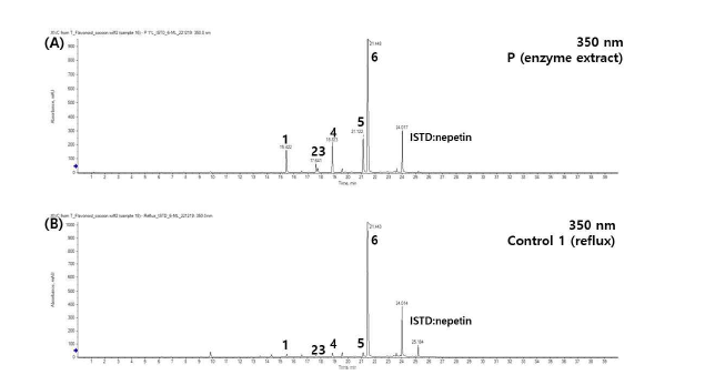 배암차즈기 효소처리 추출물(A)과 대조구 1(reflux)(B)의 LC chromatogram 비교