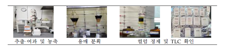 짚신나물로부터 항염증 기능성 물질의 분리·정제 과정