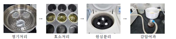 배암차즈기 효소처리과정