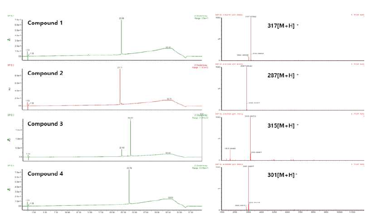 배암차즈기에서 분리한 화합물의 UPLC-Q-ToF/MS 크로마토그램