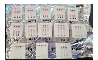 짚신나물 CHCl3 분획물의 silica gel chromatography 이동상 선정을 위한 silica TLC