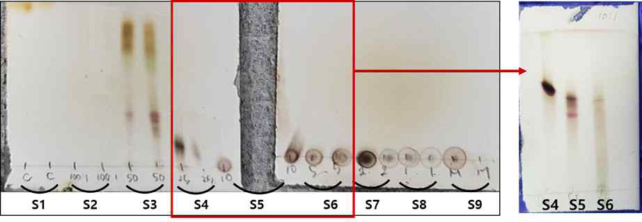 짚신나물 CHCl3분획물의 silica gel chromatography 실험 결과