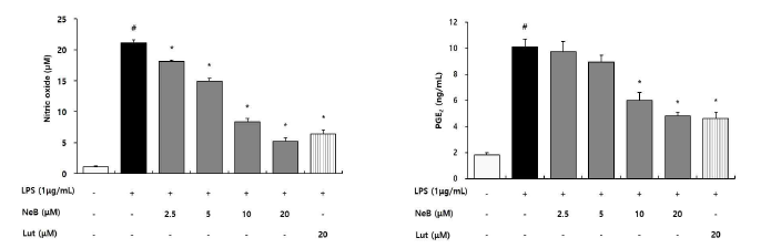 Nepetoidin B가 NO 및 PGE2 생성 억제에 미치는 영향