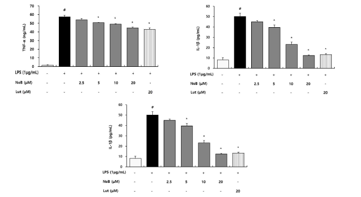 Nepetoidin B가 염증성 사이토카인 생성 억제에 미치는 영향