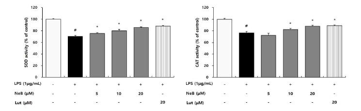 Nepetoidin B가 항산화 효소 활성에 미치는 영향