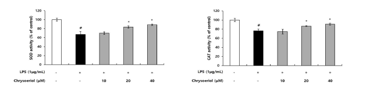 Chrysoeriol이 세포 내 항산화효소 활성에 미치는 영향