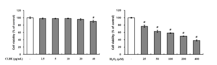 더덕 순 추출물과 H2O2가 SH-SY5Y 세포 생존율에 미치는 영향