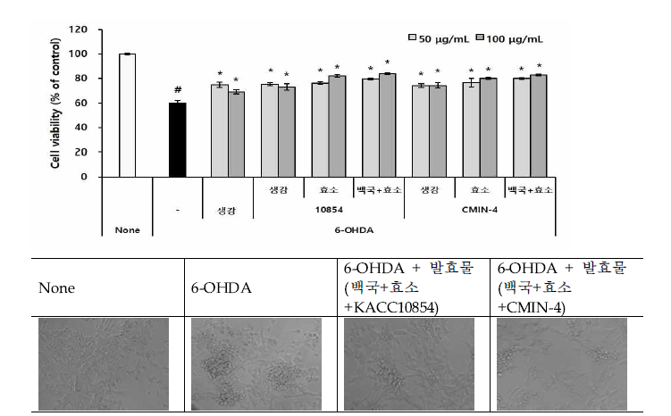 생강, 효소물 및 발효물 처리에 따른 신경세포 보호효과 Values are mean ± SE (n=3). #p<0.05 compared with the control(none) group. *p<0.05 compared with the 6-OHDA treated group.