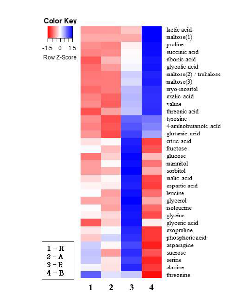 생강 추출물 대사체의 heatmap R, raw ginger; A, Aspergillus oryzae treated, E, A. oryzae+enzyme, B, A. oryzae+enzyme+Bacillus subtilis treated. The blue-red color represents the z-score transformed raw data of metabolites of ginger extract with significant differences between all samples. Blue and red colors indicate an increase and a decrease of metabolite level, respectively.