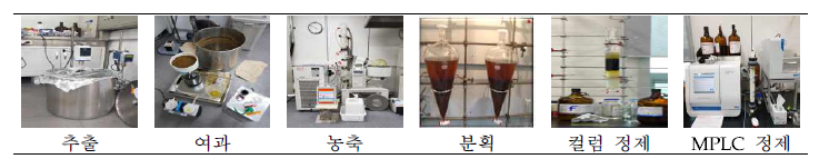 배암차즈기로부터 항염증 기능성 물질의 분리·정제 과정