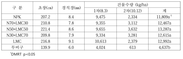 수수×수단그라스의 생육 및 수량(2021)