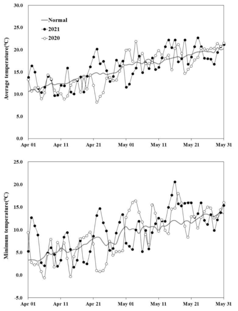벼 극조기 이앙시 4월에서 5월간 평균기온 및 최저기온 변화(’20∼’21)
