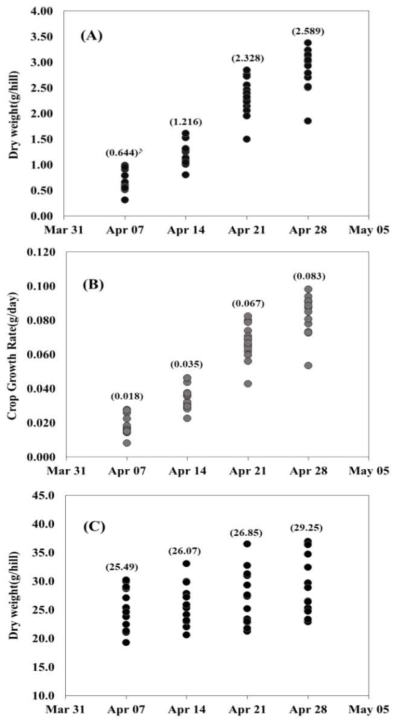 이앙시기별 건물중과 작물생장률 변화((A)이앙후 35일경 건물중, (B)이앙후 35일경 작물생장률, (C)출수기 건물중)
