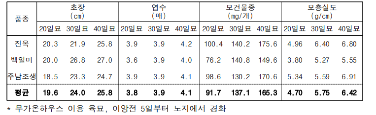 극조기 적응품종의 육묘일수별 묘소질