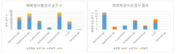 재배방식별 분리균주 수, 분리된 균의 항생제 감수성 검사 결과