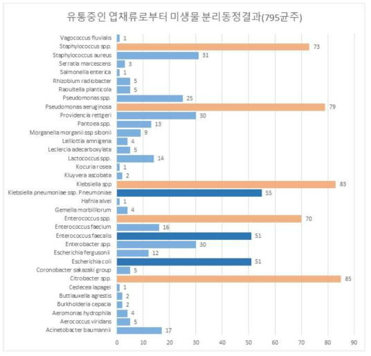 유통 엽채류에서 분리한 미생물 분리동정 결과