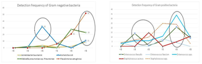 그람음성균과 그람양성균의 유통시기별 분리균수 비교