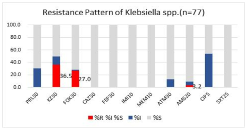 유통 엽채류 분리 Klebsiella pneumoniae균의 항생제 내성 패턴