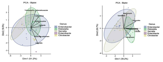 디스크확산법에 의한 항생제별 장내세균의 억제대 분포(PCA Group plot analysis)