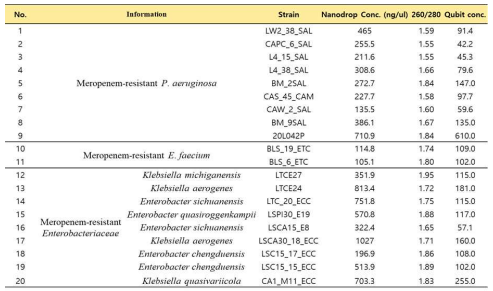 선별된 중요 내성균의 genomic DNA 추출결과