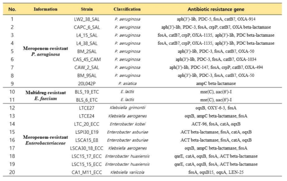 선별된 중요 내성균의 항생제 내성 유전자 리스트