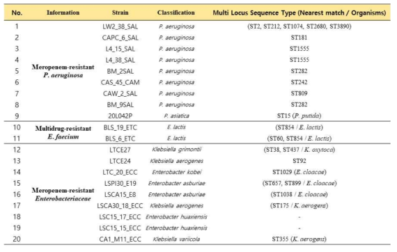 선별된 중요 내성균의 MLST 결과