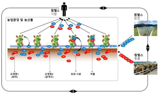 원헬스 개념의 항생제 내성 전파 경로에서 농업환경 및 농작물의 역할