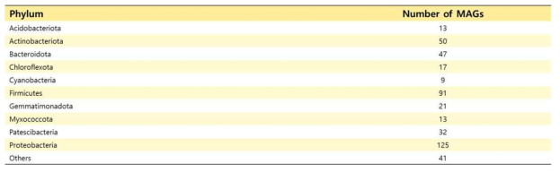 Phylum별 만들어진 MAGs의 수