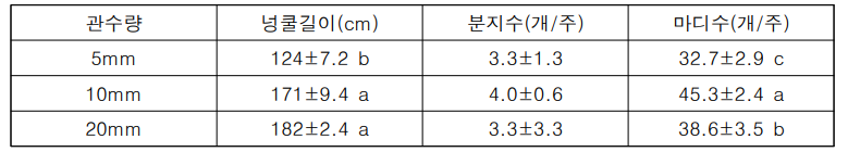 관수량에 따른 지상부 생육 특성 (정식 후 90일, 호감미)