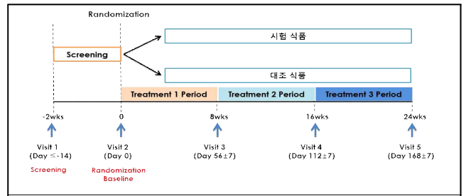 인체적용시험 진행방법 디자인 개요