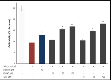 10-HDA와 FDRJ의 HEK 세포 보호 효과