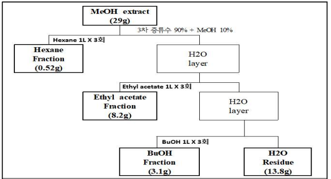 동결건조 로열젤리 MeOH 추출물 용매분획 모식도