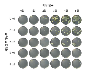 Penicillium expansum (40814) 발아억제