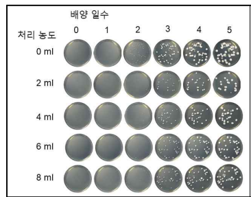 Botrytis cineria(40963) 발아억제