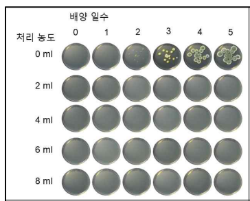 Penicillium expansum (40814) 발아억제