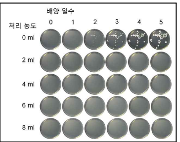 보트리티스(40963) 곰팡이 발아억제