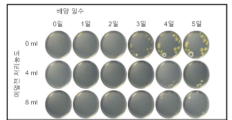 보트리티스(40574) 발아억제