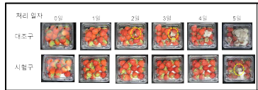 리모넨 에멀젼의 딸기 곰팡이 발아억제