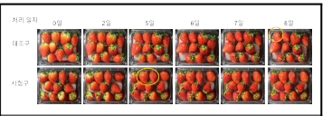 리모넨 에멀젼의 딸기 곰팡이 발아억제