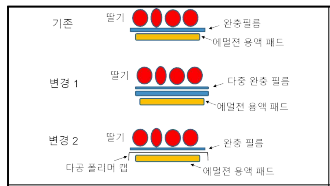 딸기 탈색 및 무름 억제