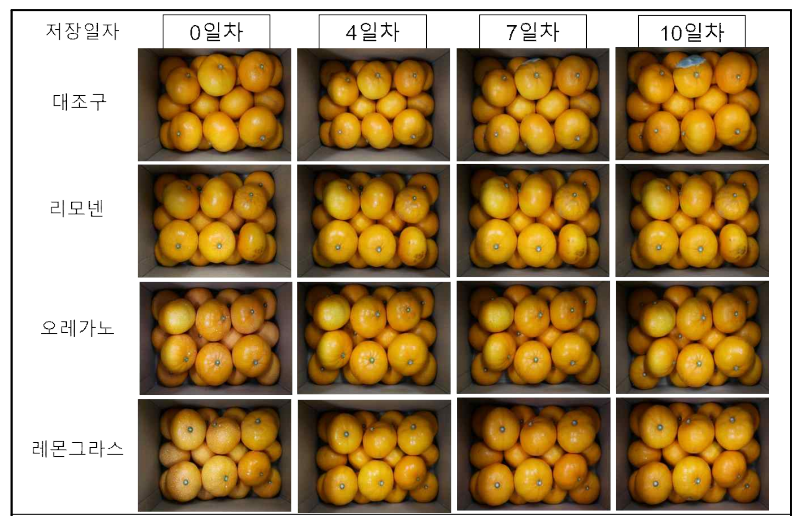 천연오일 에멀젼의 곰팡이 발아억제