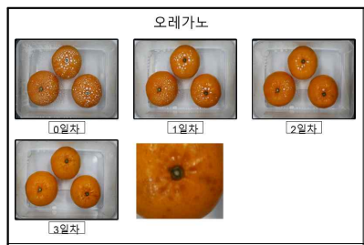 에멀젼에 의한 과일 표면 손상