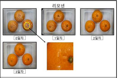 에멀젼에 의한 과일 표면 손상